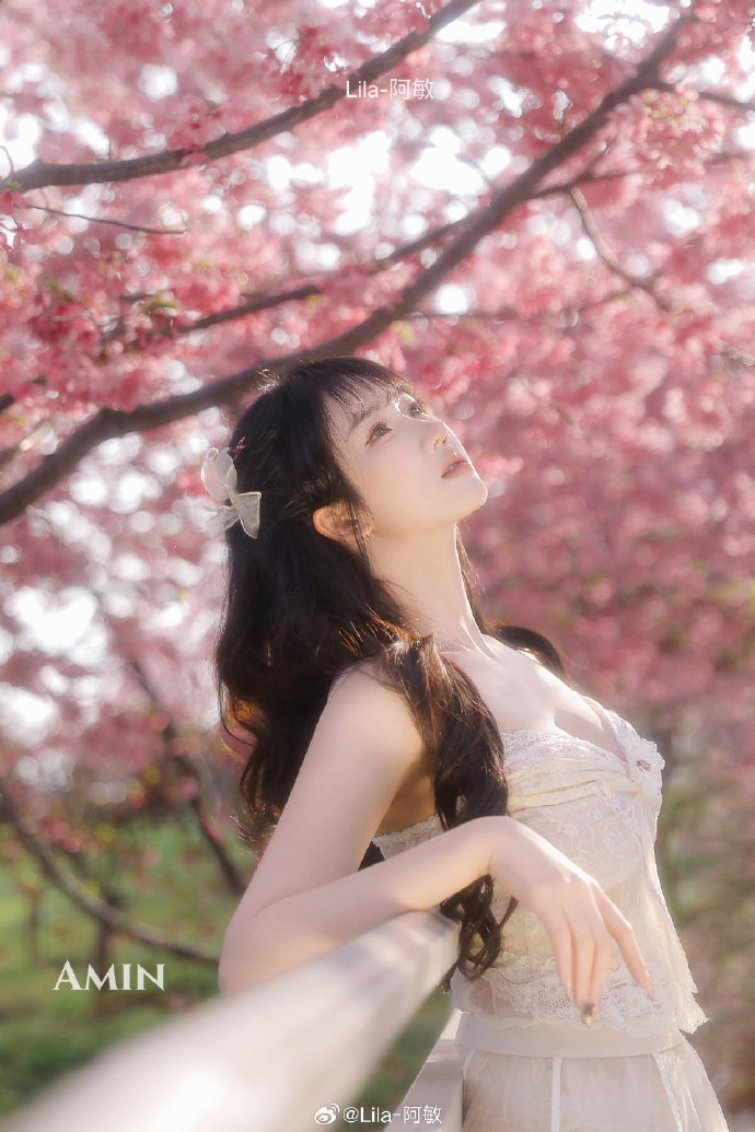 高山下的花环 封面